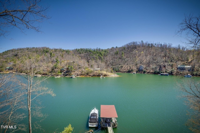 bird's eye view with a water view and a wooded view