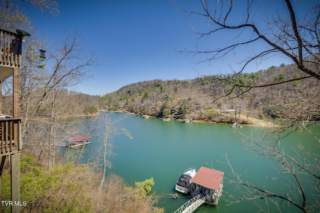 water view with a forest view