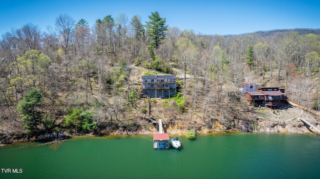 aerial view featuring a water view and a view of trees