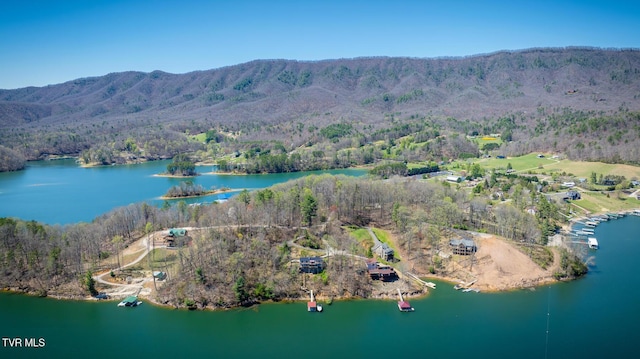 aerial view with a forest view and a water and mountain view