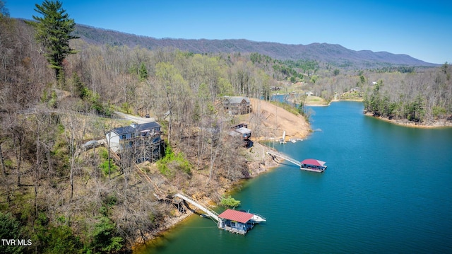 birds eye view of property with a view of trees and a water and mountain view