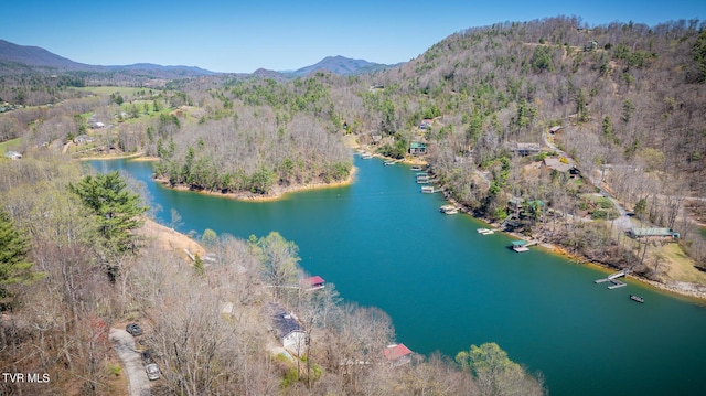 bird's eye view with a forest view and a water and mountain view