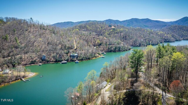 birds eye view of property featuring a water and mountain view and a view of trees