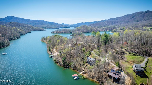 aerial view with a view of trees and a water and mountain view