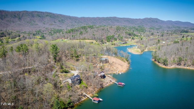 birds eye view of property with a forest view and a water and mountain view