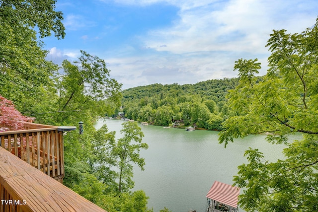 465 Big Oak Dr, Butler, TN 37640 - water view featuring a heavily wooded area