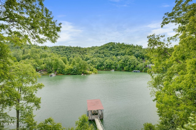 465 Big Oak Dr, Butler, TN 37640 - water view with a forest