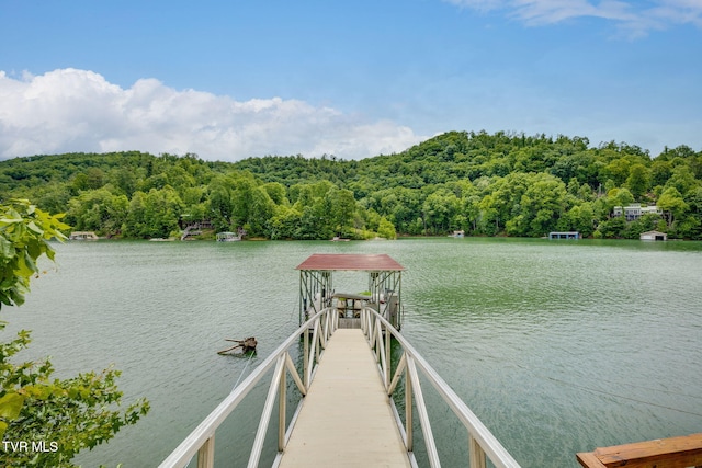 465 Big Oak Dr, Butler, TN 37640 - dock with a forest view and a water view