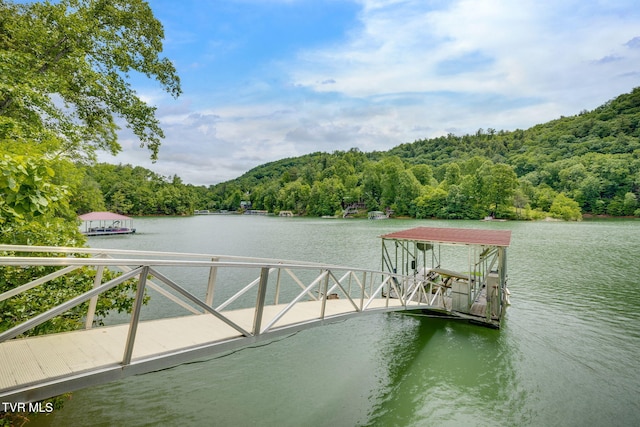 465 Big Oak Dr, Butler, TN 37640 - dock area with a view of trees and a water view