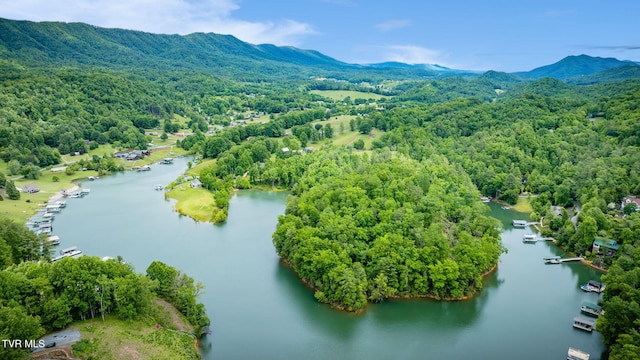 465 Big Oak Dr, Butler, TN 37640 - bird's eye view of a water and mountain view and a forest