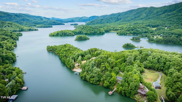 465 Big Oak Dr, Butler, TN 37640 - bird's eye view of a water and mountain view and a forest