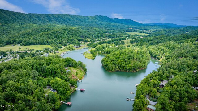 465 Big Oak Dr, Butler, TN 37640 - aerial view of a water and mountain view and a heavily wooded area