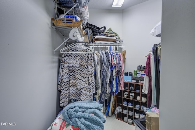 view of spacious closet