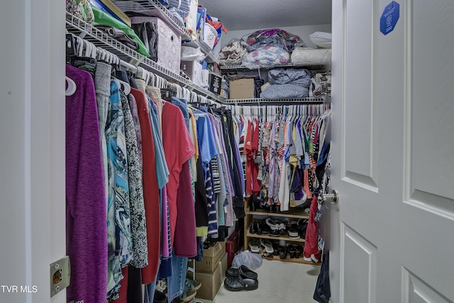 view of walk in closet