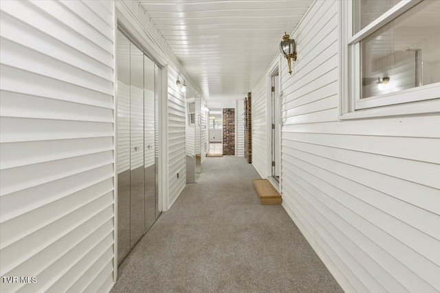 hallway with wood walls and carpet