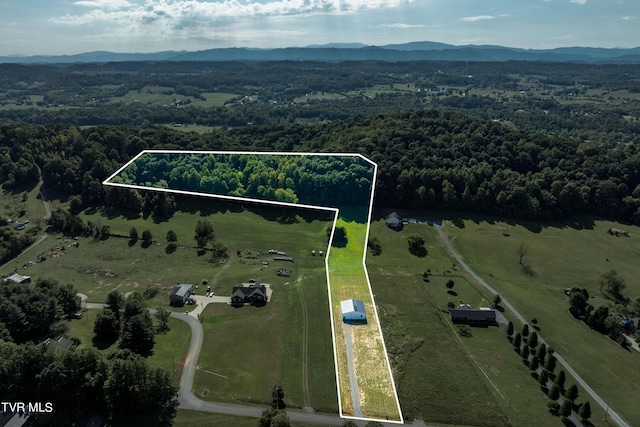 drone / aerial view with a mountain view, a view of trees, and a rural view