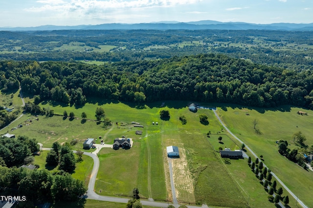 birds eye view of property featuring a mountain view, a view of trees, and a rural view