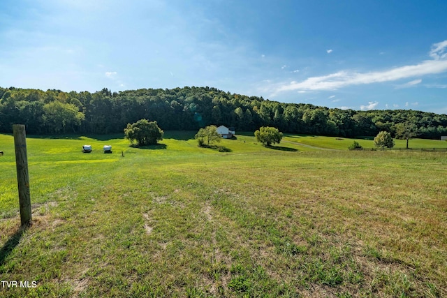 view of yard with a forest view and a rural view