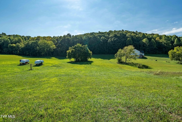 view of yard with a forest view and a rural view