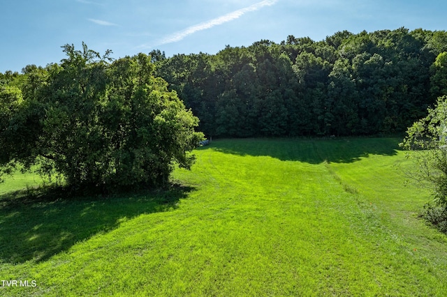 view of yard featuring a wooded view