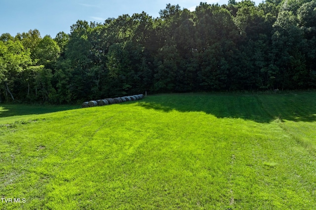 view of yard featuring a forest view