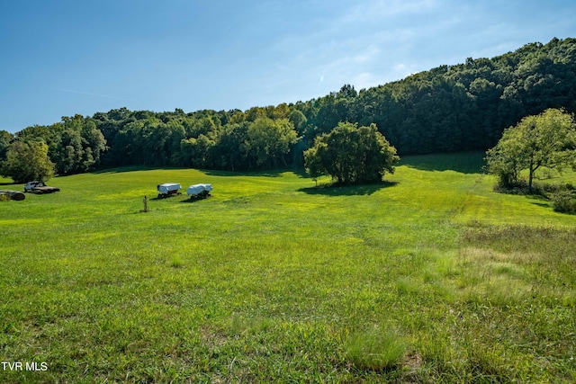 view of yard featuring a rural view and a wooded view