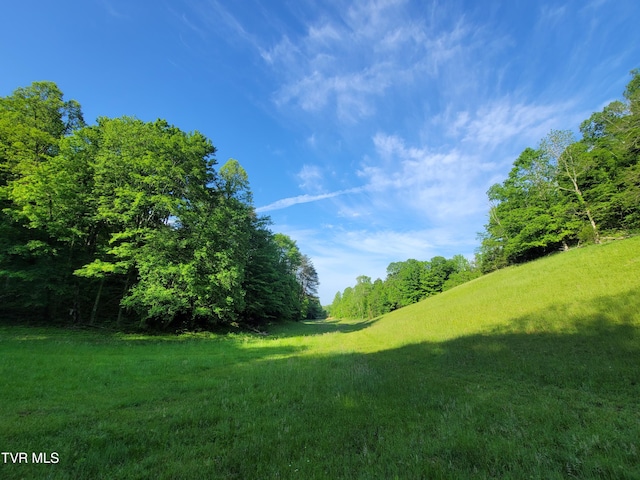 838 Longs Bend Rd, Rogersville TN, 37857 land for sale