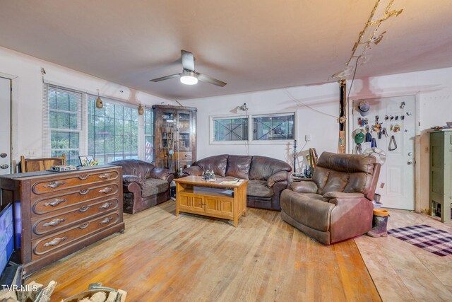 838 Longs Bend Rd, Rogersville, TN 37857 - photo 15