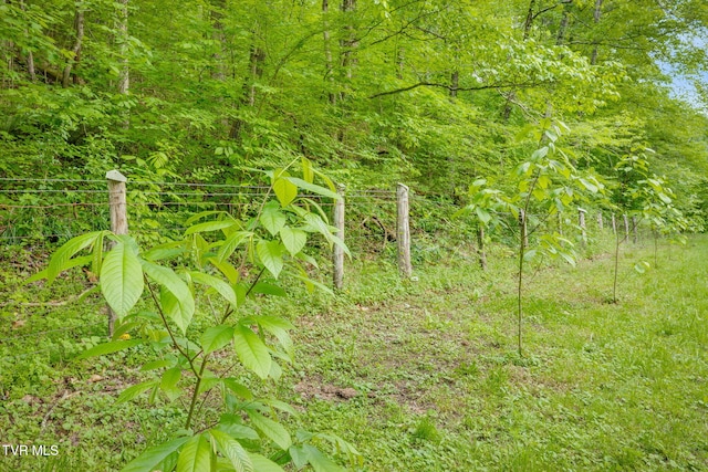 838 Longs Bend Rd, Rogersville, TN 37857 - photo 31