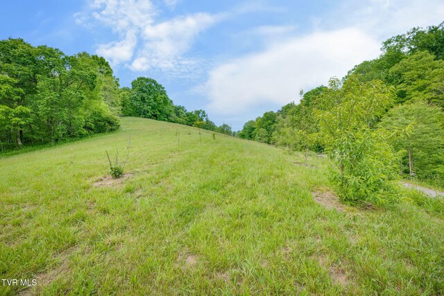 838 Longs Bend Rd, Rogersville, TN 37857 - photo 32