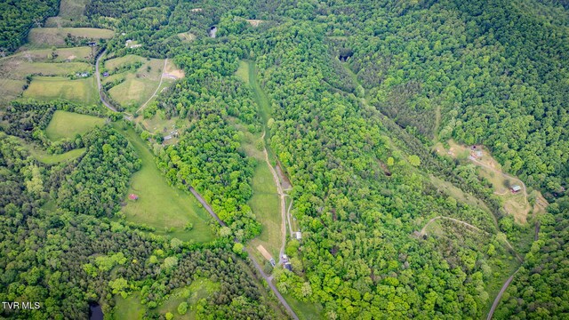 838 Longs Bend Rd, Rogersville, TN 37857 - photo 44