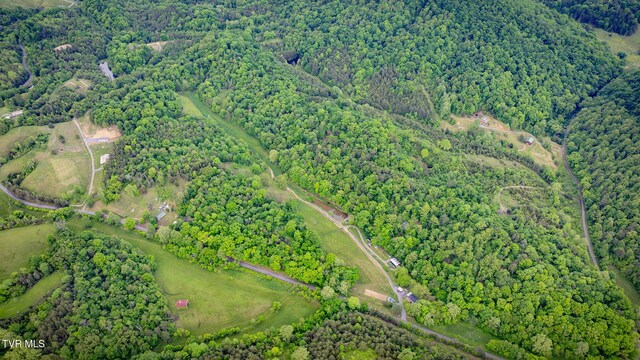 838 Longs Bend Rd, Rogersville, TN 37857 - photo 45