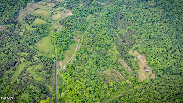838 Longs Bend Rd, Rogersville, TN 37857 - photo 46