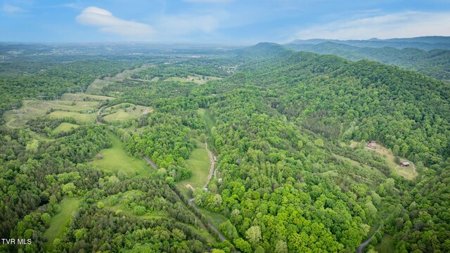 838 Longs Bend Rd, Rogersville, TN 37857 - photo 51