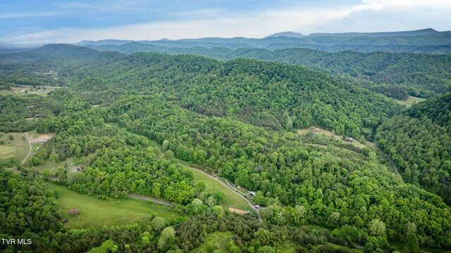 838 Longs Bend Rd, Rogersville, TN 37857 - photo 52