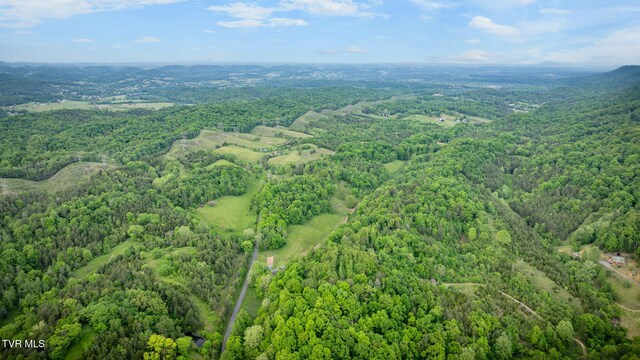 838 Longs Bend Rd, Rogersville, TN 37857 - photo 53