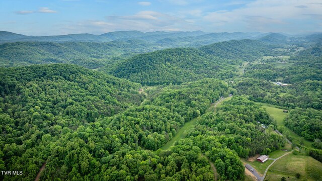 838 Longs Bend Rd, Rogersville, TN 37857 - photo 54