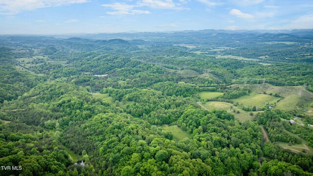 838 Longs Bend Rd, Rogersville, TN 37857 - photo 55