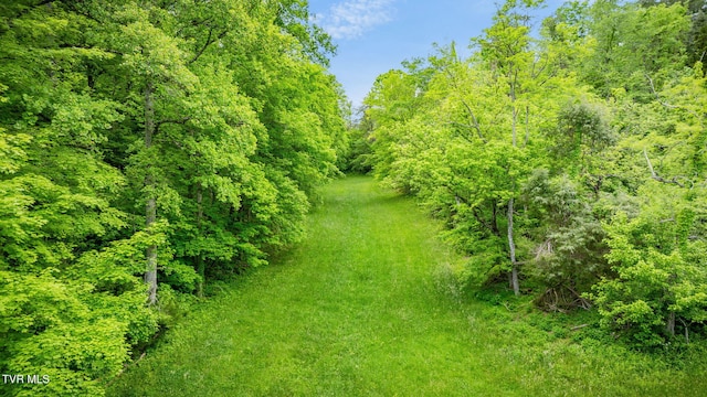 838 Longs Bend Rd, Rogersville, TN 37857 - photo 57