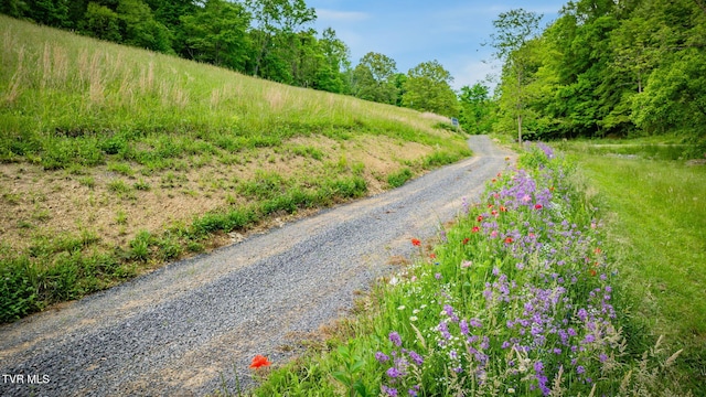 838 Longs Bend Rd, Rogersville, TN 37857 - photo 5