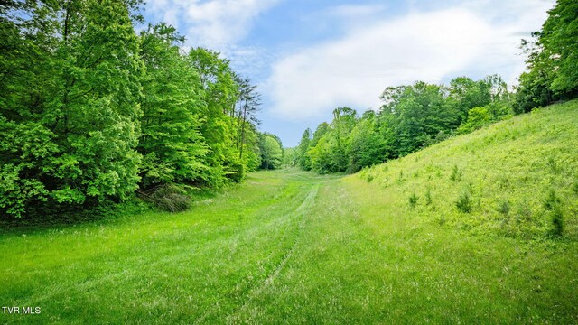 838 Longs Bend Rd, Rogersville, TN 37857 - photo 59