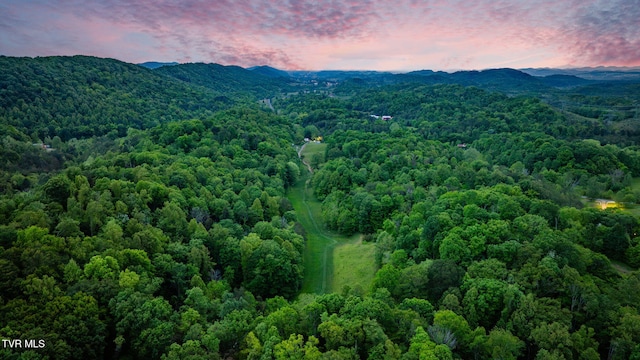 838 Longs Bend Rd, Rogersville, TN 37857 - photo 64