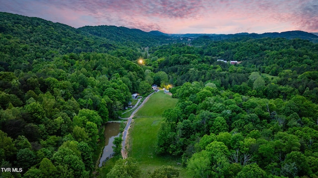 838 Longs Bend Rd, Rogersville, TN 37857 - photo 65