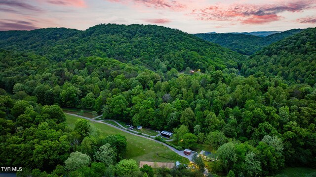 838 Longs Bend Rd, Rogersville, TN 37857 - photo 66