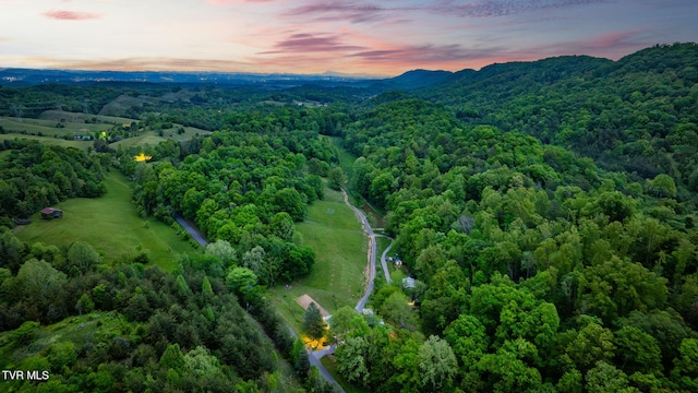 838 Longs Bend Rd, Rogersville, TN 37857 - photo 2