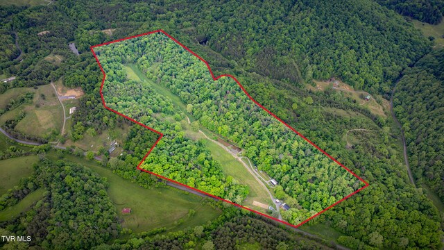 838 Longs Bend Rd, Rogersville, TN 37857 - photo 4