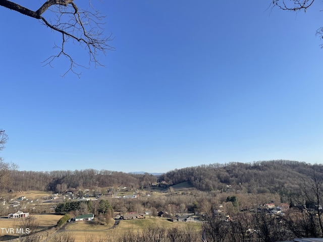 TBD Chestnut Ridge Rd, Kingsport TN, 37664 land for sale