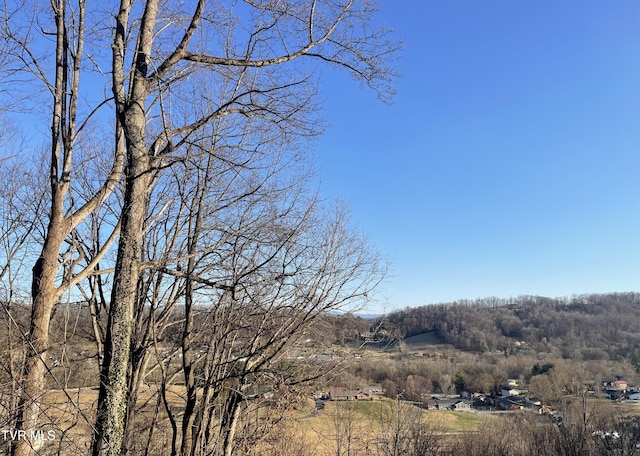 Listing photo 3 for TBD Chestnut Ridge Rd, Kingsport TN 37664