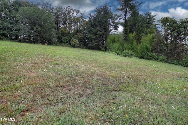 view of yard featuring a forest view