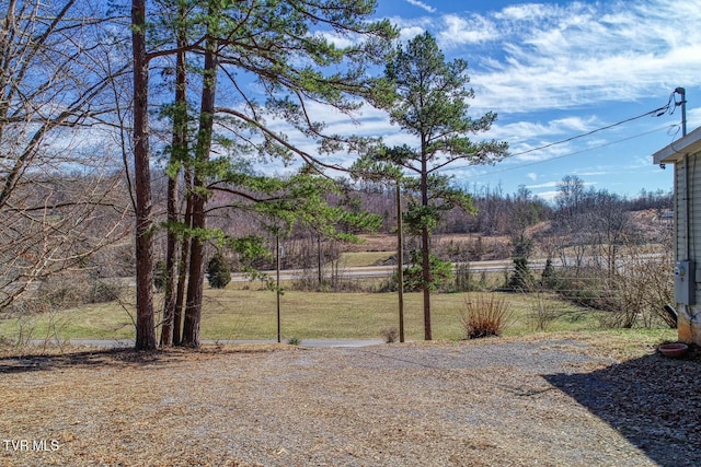 view of yard